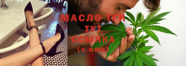 крисы Магас
