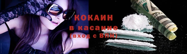 крисы Магас