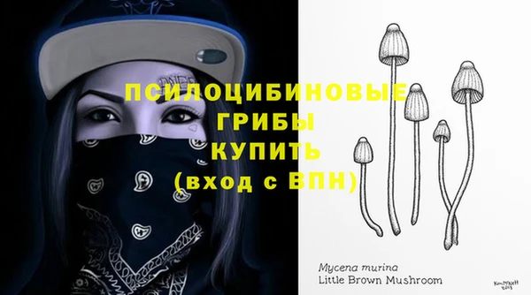 бошки Майский