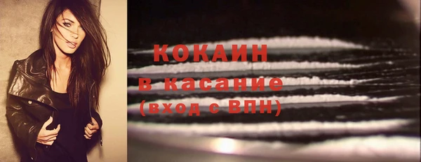 крисы Магас