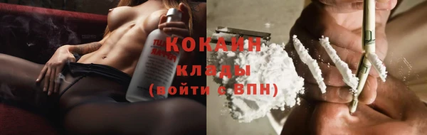 крисы Магас
