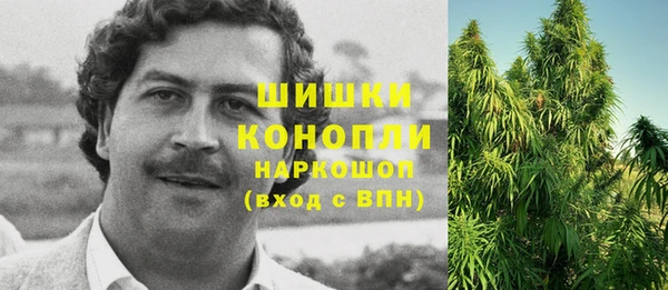 крисы Магас