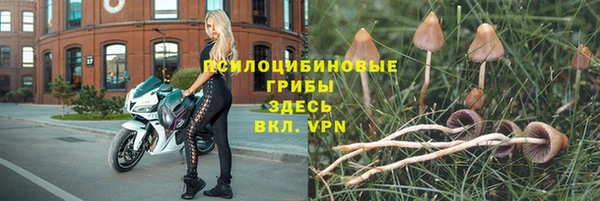 бошки Майский
