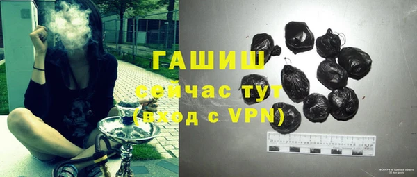крисы Магас