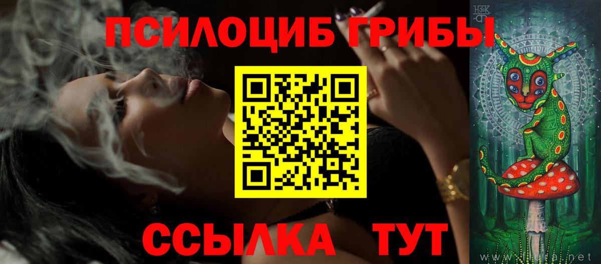 Псилоцибиновые грибы Cubensis Псков